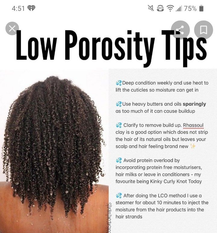 Black Hair Products, Low Porosity Hair Care, Low Porosity Natural Hair, Low Porosity Hair, 4c Hair Care, Low Porosity, Natural Hair Growth Tips, Natural Hair Regimen, Hair Milk