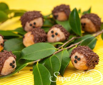 some little hedges sitting on top of green leaves and one has its eyes open