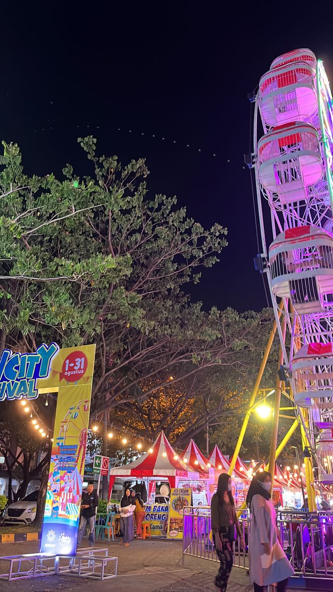 people walking around an amusement park at night