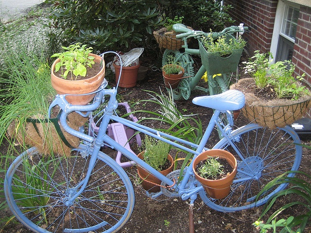 a blue bicycle parked next to some potted plants