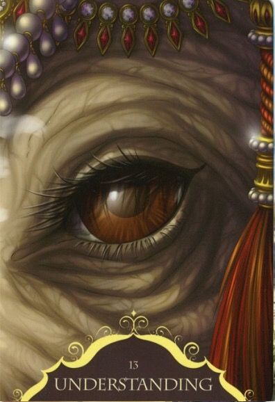 the front cover of a book with an image of a woman's eye and headdress