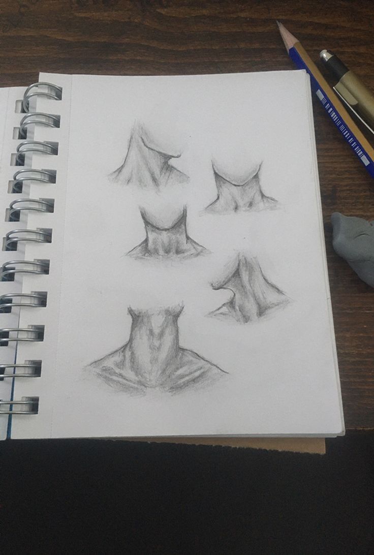 pencil drawing of four different angles of the neck and shoulders, with two crayons next to it