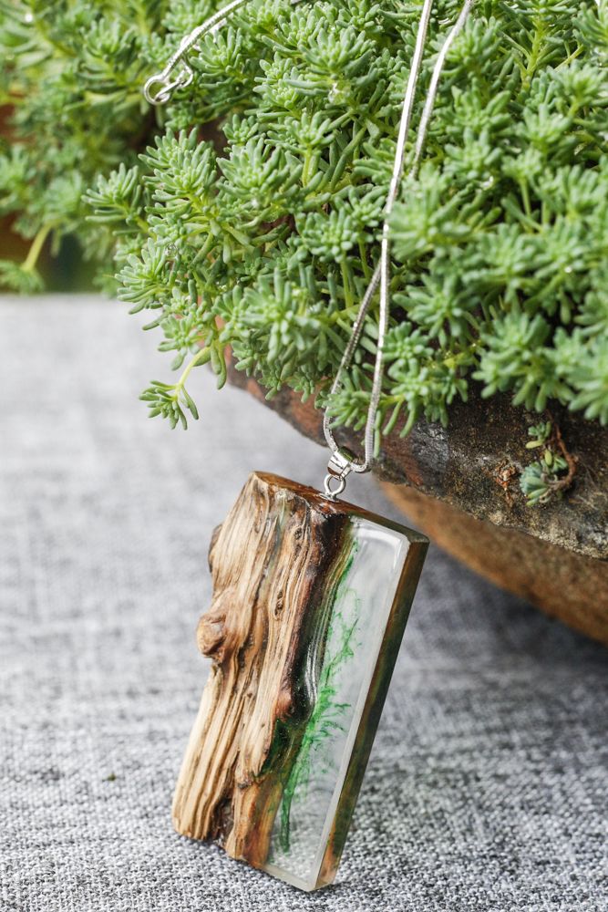 a piece of wood sitting on top of a plant