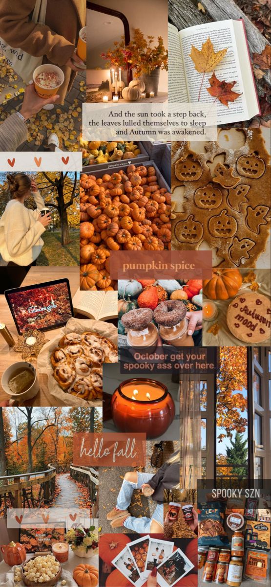 the collage shows many different types of food and drinks in various pictures, including pumpkins