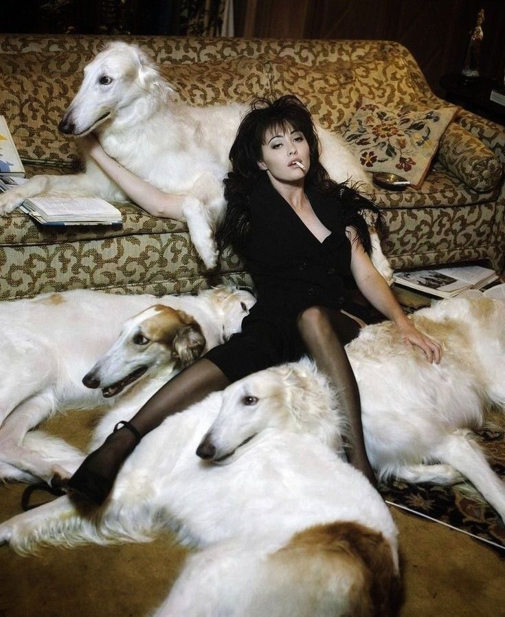 a woman is sitting on a couch surrounded by three white dogs and one brown dog