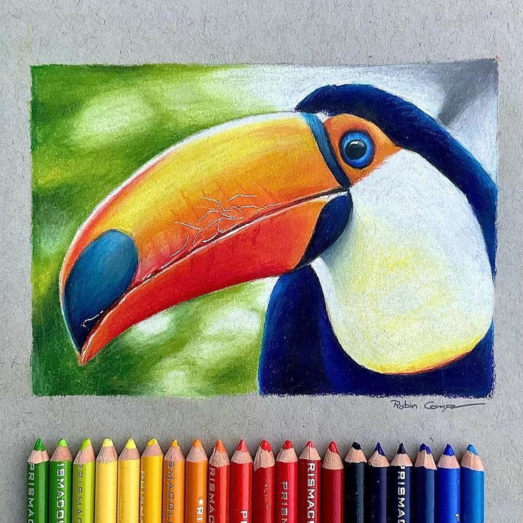 colored pencils next to a drawing of a toucan