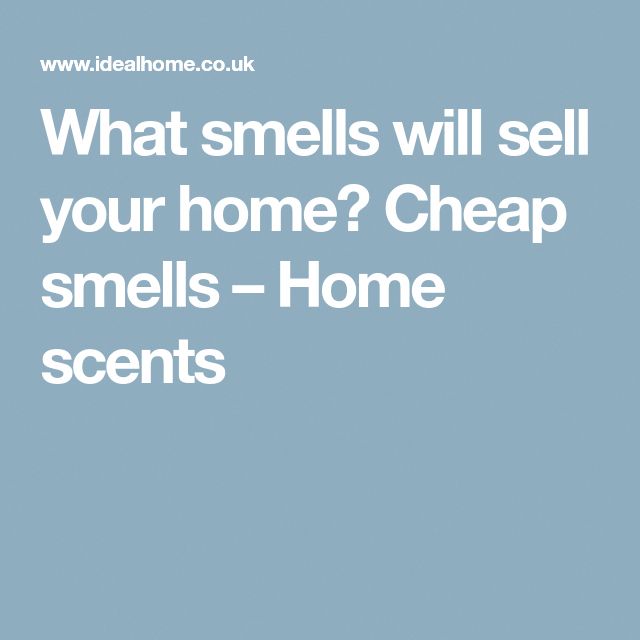 the words what smells will sell your home? cheap smells - home scents on a blue