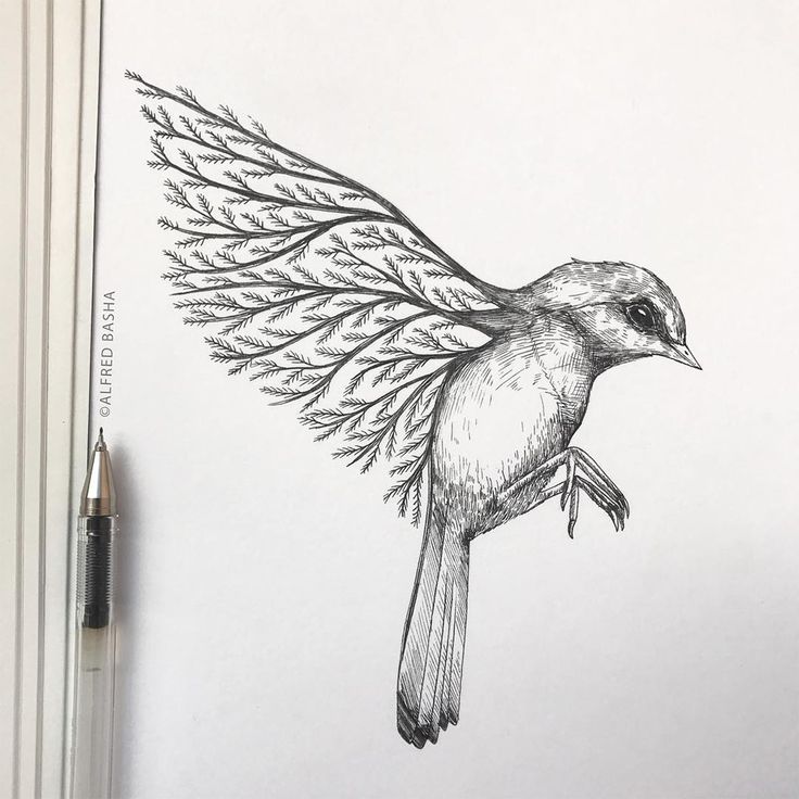 a drawing of a bird with wings spread