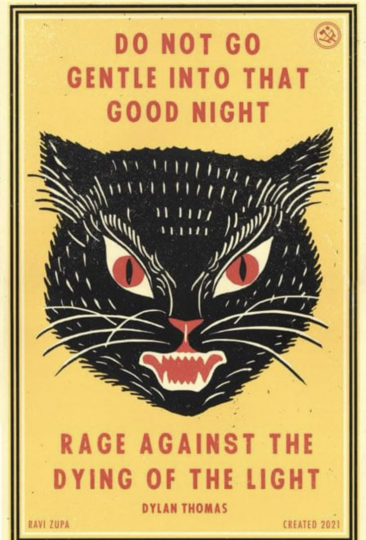 a black cat with red eyes and the words, do not go gentle into that good night rage against the dying of the light