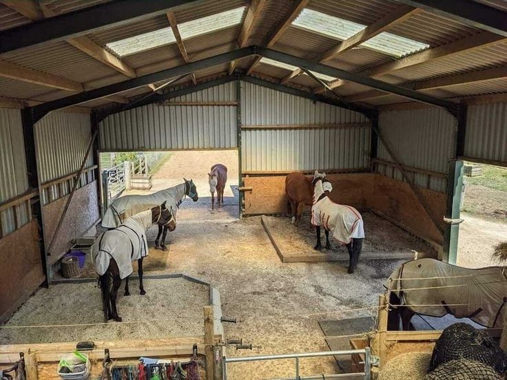 several horses are standing in their stalls at the stable, some with blankets on them