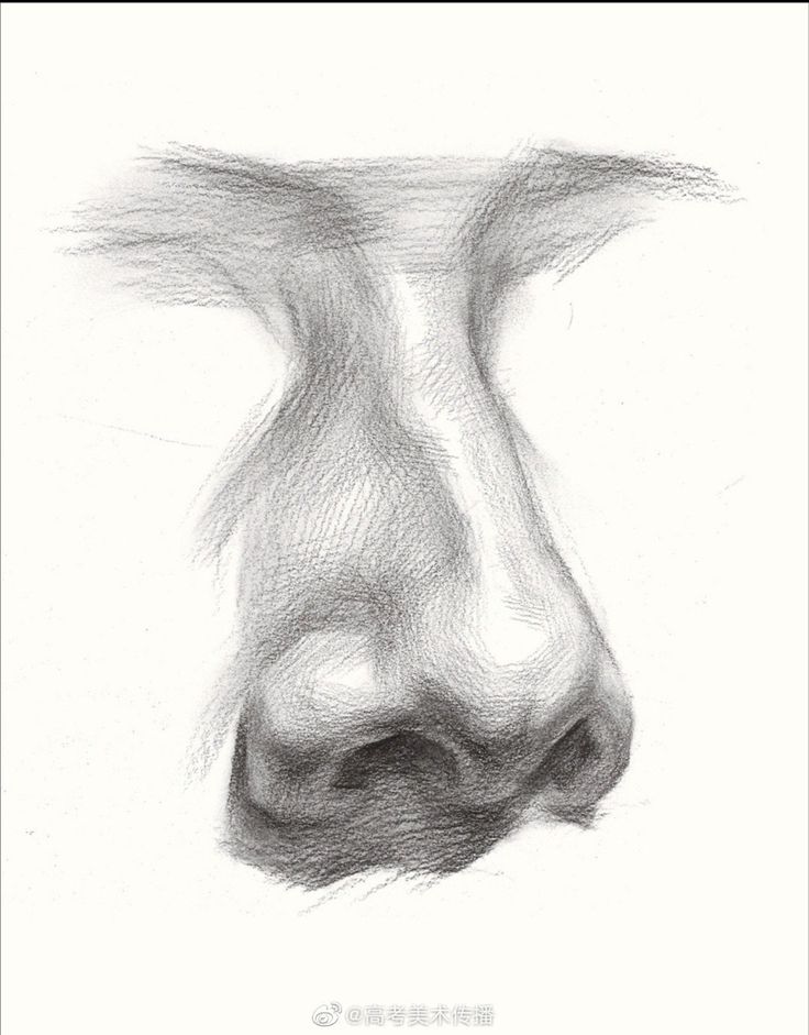 a drawing of a nose is shown in black and white