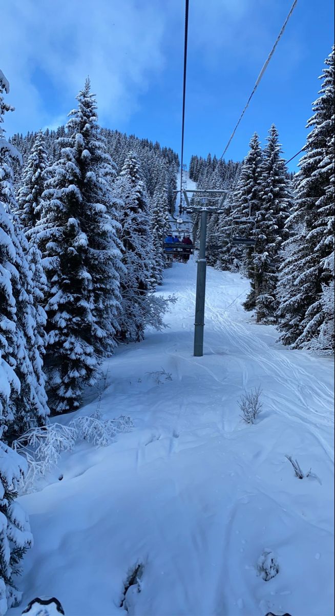 a ski lift going up the side of a snow covered mountain with lots of trees