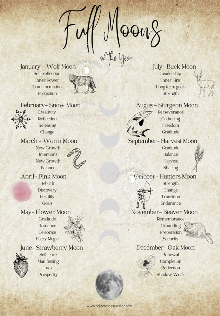 Moon Meanings Spiritual, New Moon Meaning Witchcraft, Wicca Full Moon, Different Full Moons, Harvest Moon Correspondences, Full Moon Benefits, Moon Street Public Witch Board, Full Moons Of The Year, Moons Of The Months