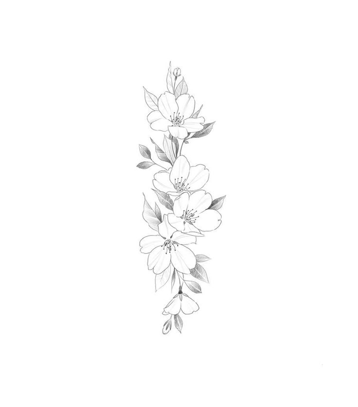 a line drawing of flowers on a white background