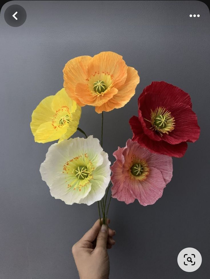 a hand holding four different colored flowers