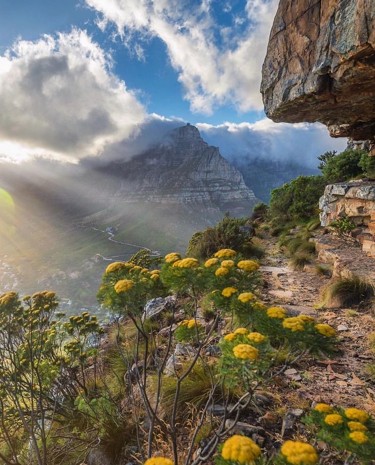 the sun shines through clouds over mountains and flowers on top of a mountain side