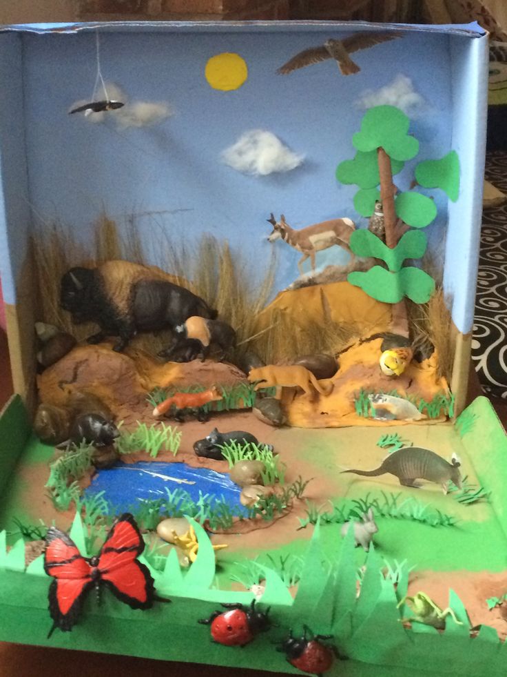 an open cardboard box filled with different types of animals and plants in the middle of it