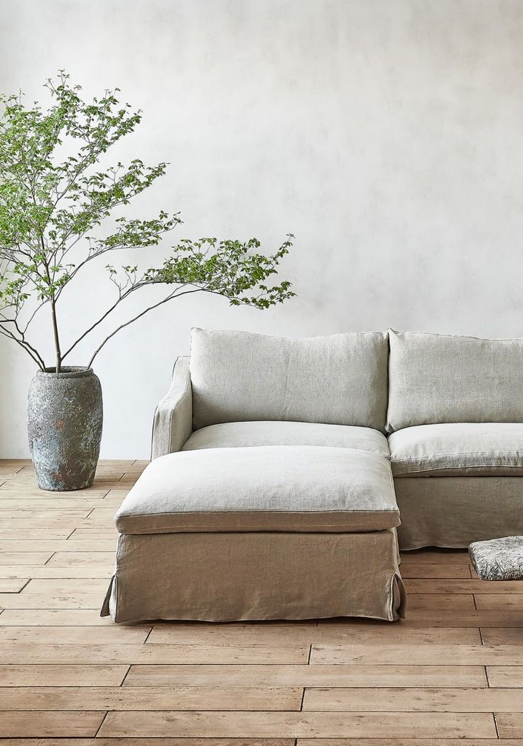 a couch and footstool in front of a white wall with a potted plant