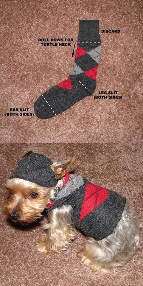 a small dog wearing a sweater and hat on top of the floor next to a pair of socks