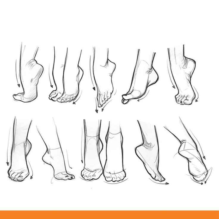 various stages of the foot and ankles