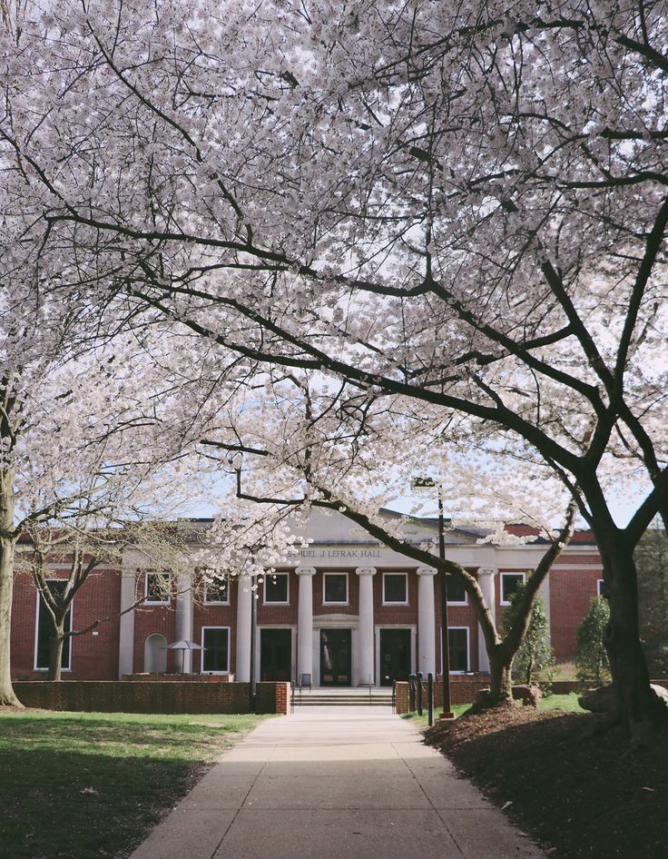 the building is surrounded by blooming trees and grass, with a walkway leading to it