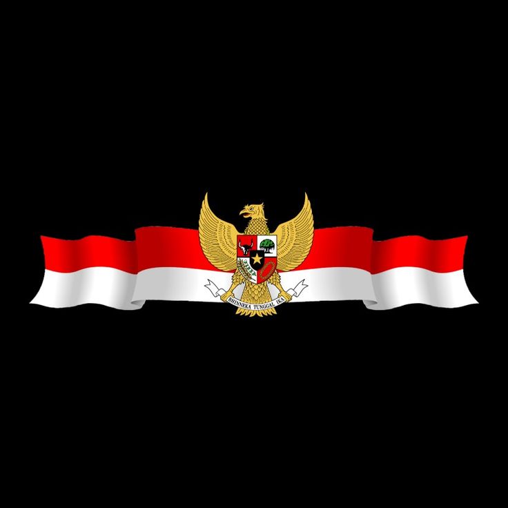 the flag of egypt with an eagle on it's head and two red white stripes