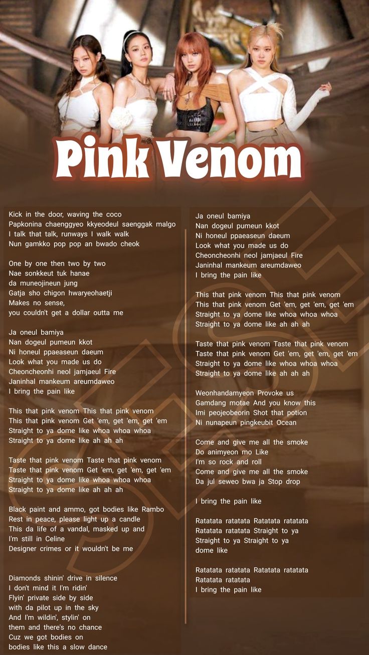 the pink venom tour poster is shown in brown and white, with three women standing