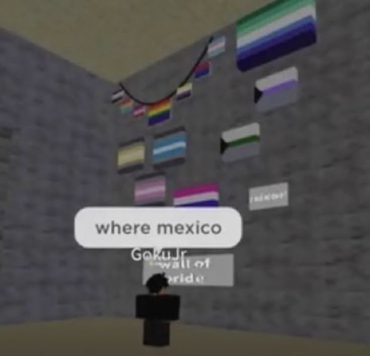 there is a man standing in front of a wall with flags on it and the words where mexico go