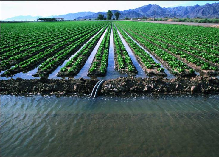 an aerial view of a farm field with water flowing from the top to the bottom