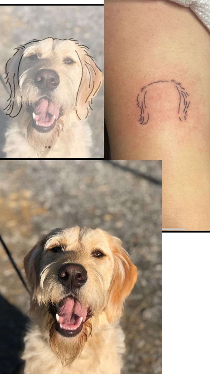 three pictures of dogs with different tattoos on them