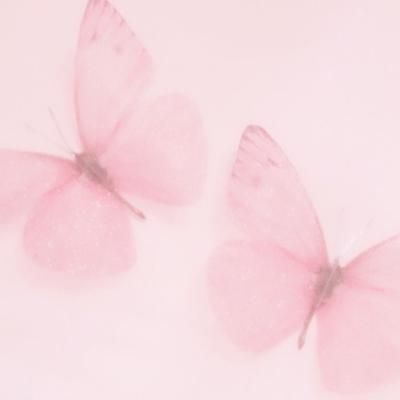 two pink butterflies flying in the air