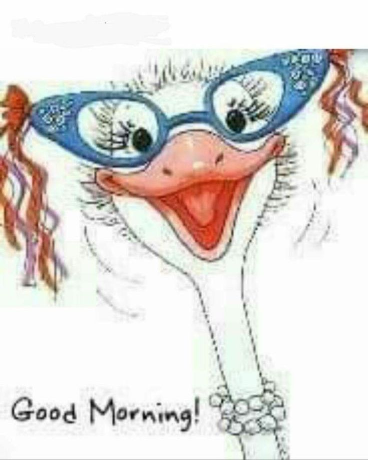 an image of a cartoon bird with glasses on it's head and the words good morning