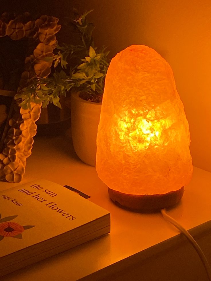 a lamp that is on top of a table next to a book and some plants