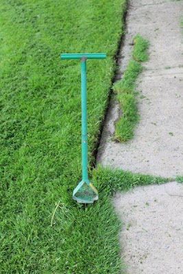 a green pole on the side of a sidewalk with grass growing up it's sides