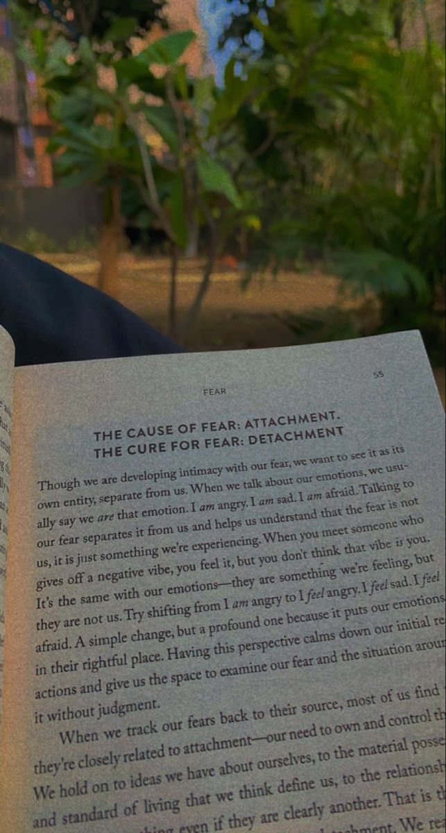 an open book sitting on top of a wooden table next to a green plant filled with leaves