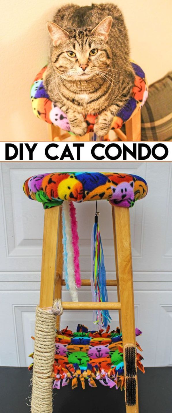 a cat sitting on top of a wooden chair next to a ladder with the caption diy cat condo