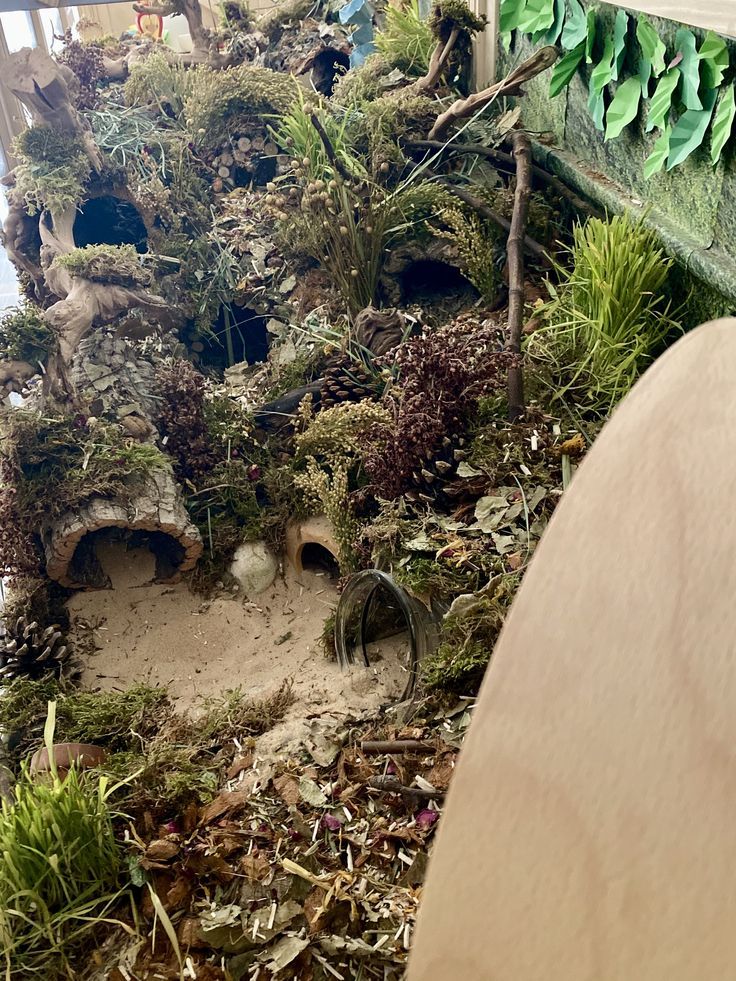 an indoor garden with plants and sand in the ground, including grass growing out of it's holes