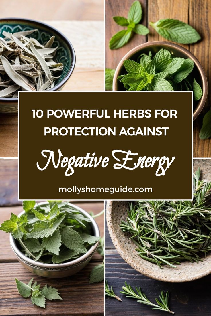 herbs for protection against negative energy