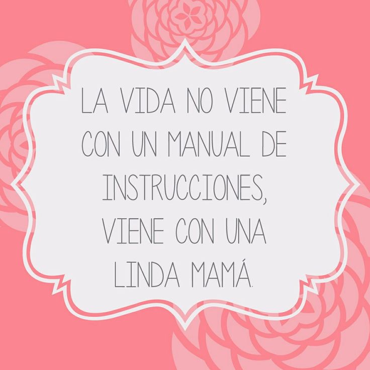 a pink rose with the words la veda no veine con un manual de instructiones, vien con una linda mama