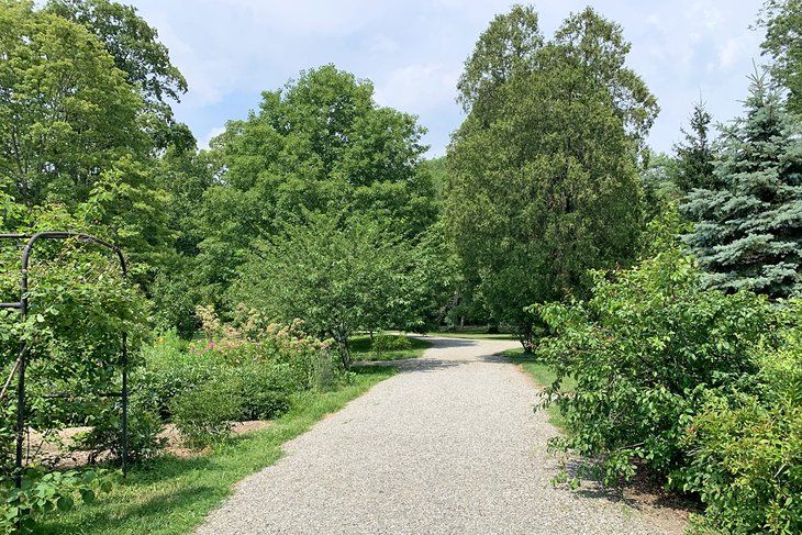 a gravel road surrounded by trees and bushes