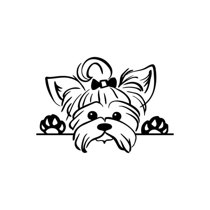 a black and white drawing of a dog with a bow on it's head