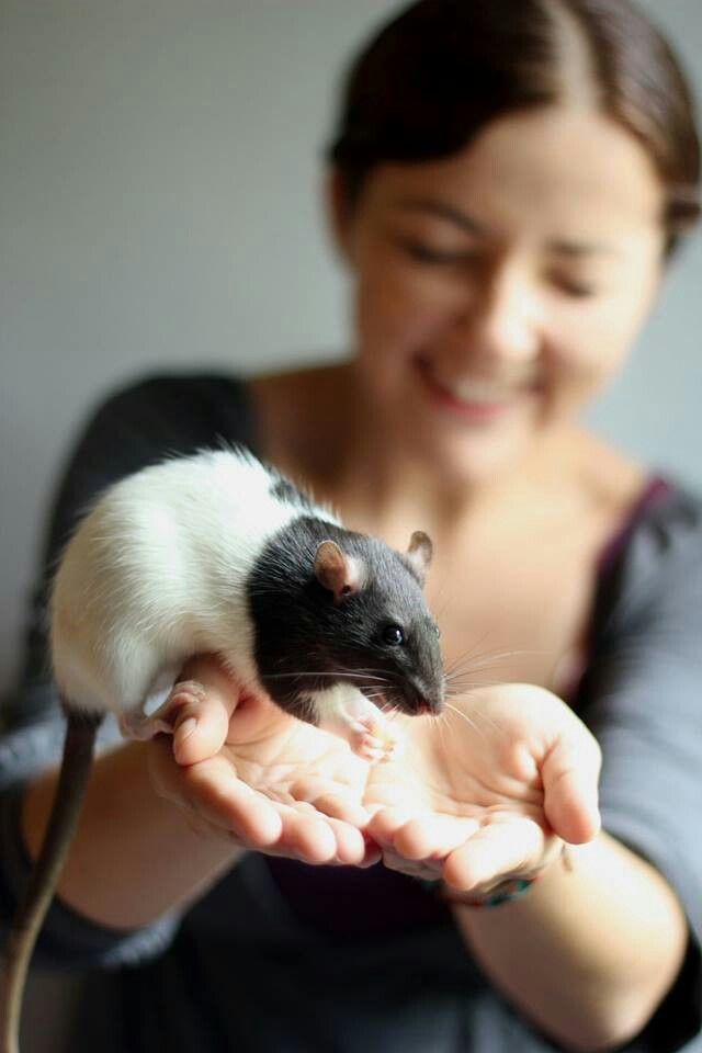 a woman holding a small rat in her hands