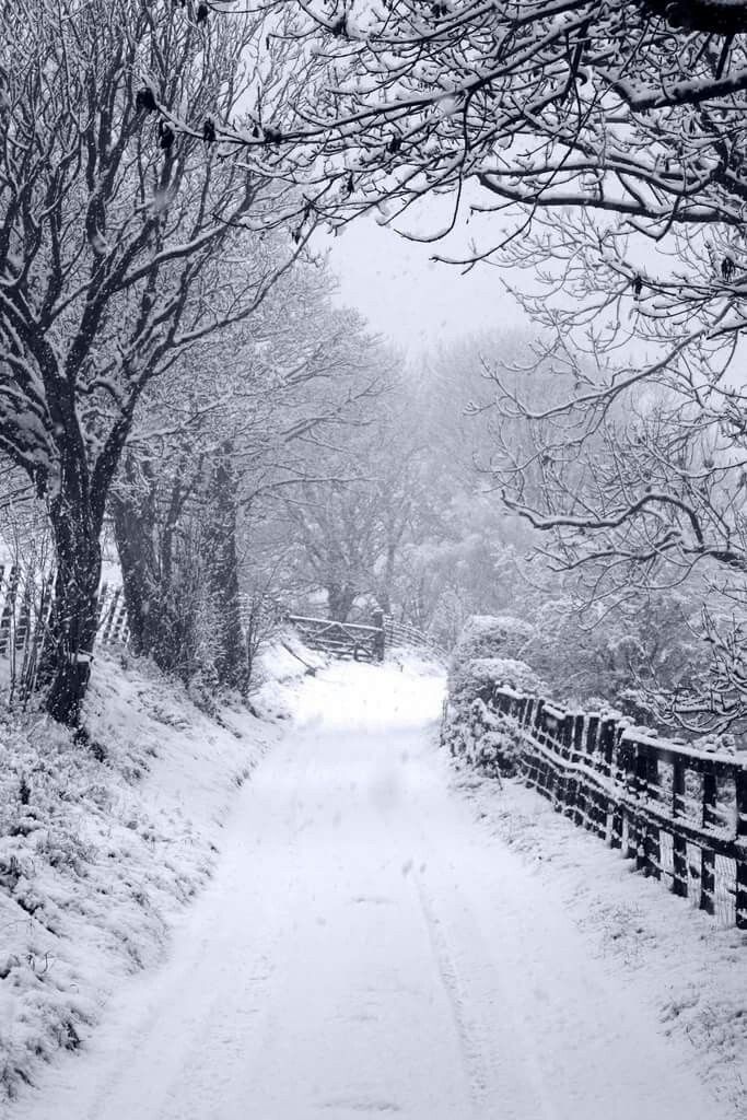 a snow covered road with trees and fence on both sides in the middle of winter