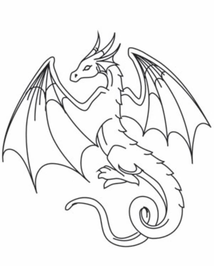 a drawing of a dragon on a white background