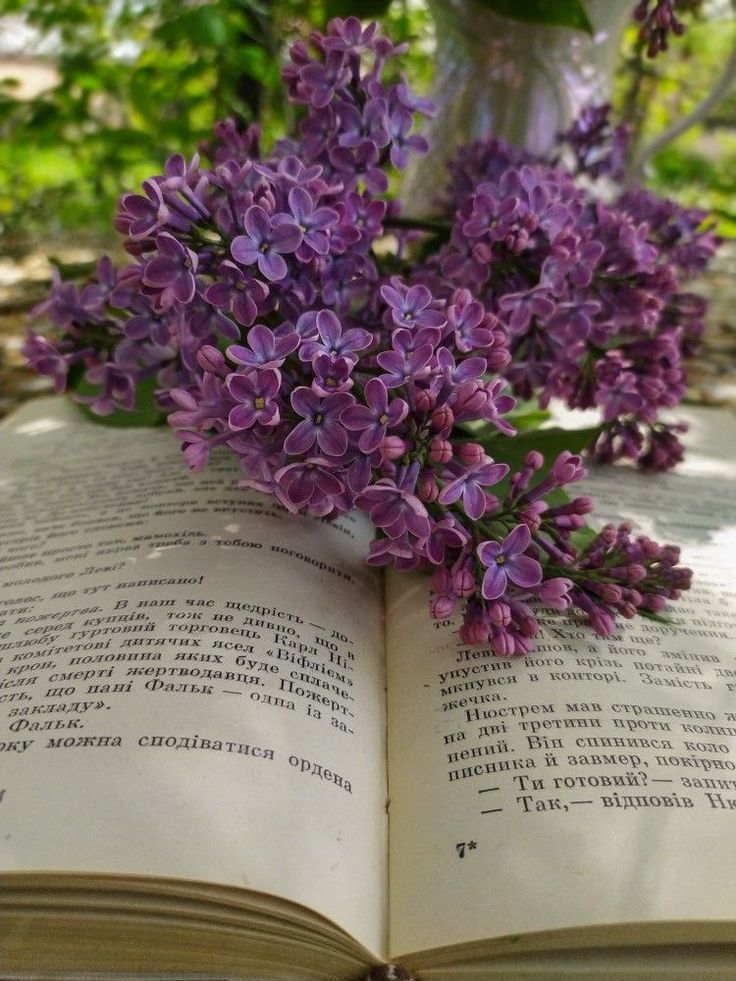 an open book with purple flowers on top of it, sitting in front of some trees