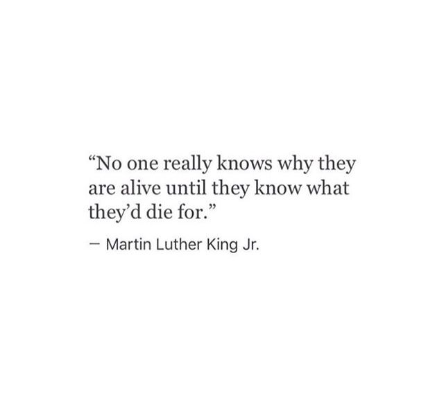 a quote from martin luther king on the subject of this image, no one really knows why they are alive until they know what they'd die for