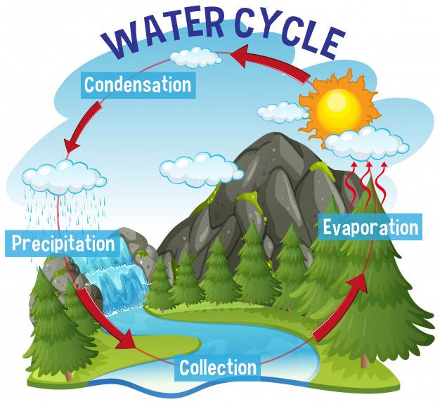 water cycle diagram with different types of water in the river and on top of it