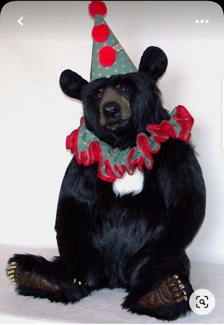 a black bear wearing a party hat and scarf