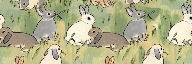 an image of rabbits in the grass