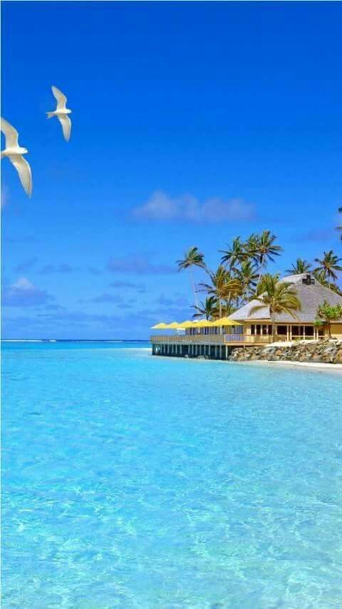 two seagulls flying over the ocean near a tropical resort